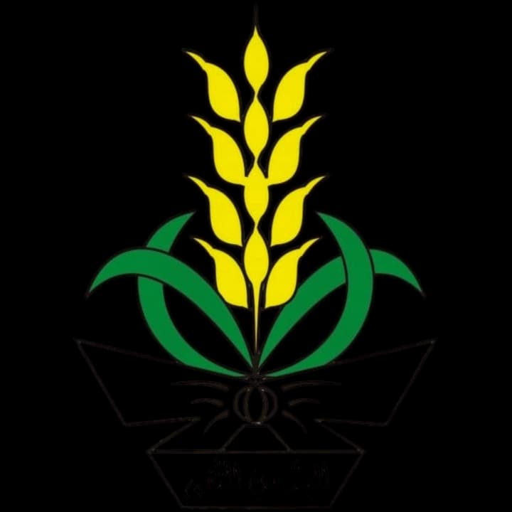 Logo Nasyiatul Aisyiyah